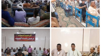 مجلس الشيوخ.. حملات مكثفة لحث المواطنين على المشاركة في جولة الإعادة