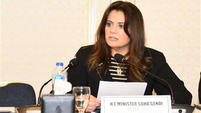 سها جندي: نتطلع لوضع خطة عمل مشتركة للتعاون مع المرصد الأفريقي للهجرة