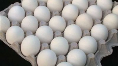 مفاجأة في أسعار كرتونة البيض اليوم الثلاثاء بالسوق المحلية
