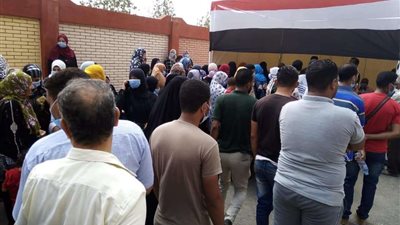 المنوفية تستعد لجولة الإعادة في انتخابات مجلس الشيوخ