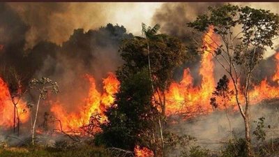 حرائق هائلة في غابات سوريا تقترب من المناطق السكنية