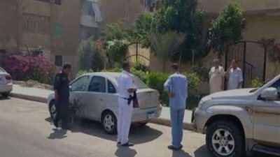 إعادة مجلس الشيوخ.. فحص سيارة بمحيط لجنة رئيس الوزراء