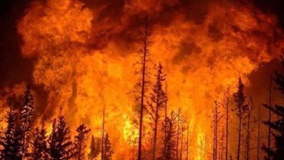 بعد حريق الغابات.. كندة علوش تتضامن مع سوريا (صور)