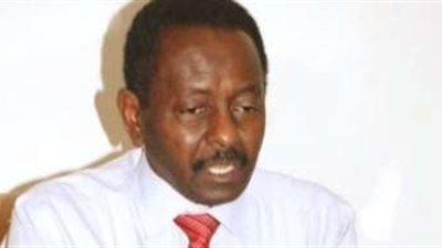 رئيس اتحاد الجامعات الإفريقية: مصر دولة رائدة وهامة للغاية فى أفريقيا