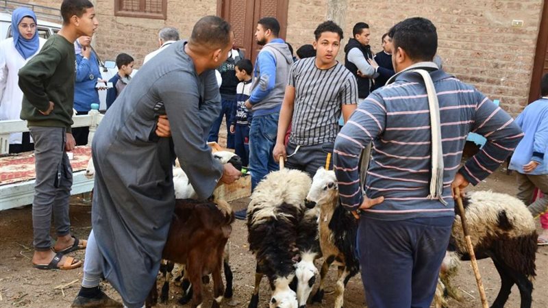 جانب من القافلة البيطرية