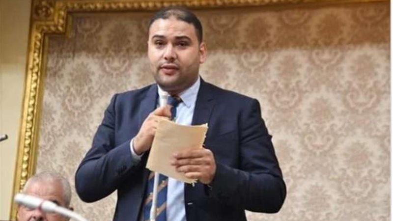 النائب ابراهيم الديب