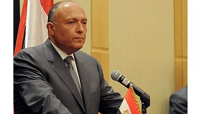 شكري: سد جوليوس نيريري يعكس التزام مصر بدعم مشروعات التنمية في القارة