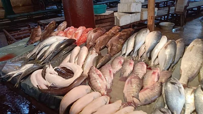 سعر السمك