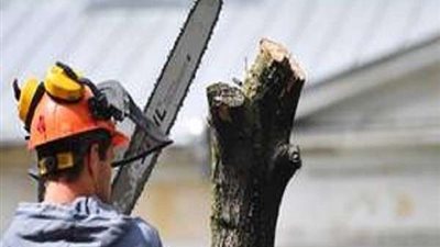 واقعة غريبة.. فتاة شابة تقطع يدها بمنشار للحصول على التأمين