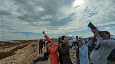 وزارة البيئة تشارك بمهرجان بورسعيد الدولي لمراقبة الطيور في نسخته الأولى