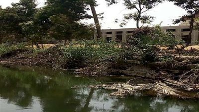 تعرف على عقوبة التعدي على الأراضي الزراعية