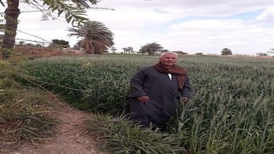 وزير الأوقاف يُوجه رسالة للفلاحين في خطبة الجمعة بالشرقية