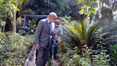 محافظ القليوبية: 