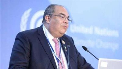 محيي الدين: تنشيط الاستثمارات المحلية يقلل من تأثر الدول العربية بالركود العالمي