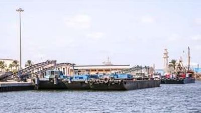 ميناء دمياط يستقبل 40 سفينة خلال 24 ساعة