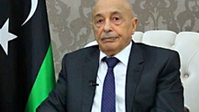 وفد مصري يلتقي رئيس مجلس النواب الليبي.. تفاصيل