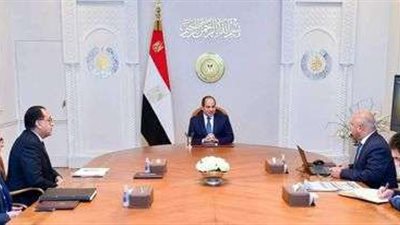 الرئيس السيسي يتابع تطوير منظومة الموانئ على مستوى الجمهورية