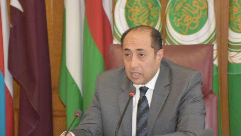السفير حسام زكي،
