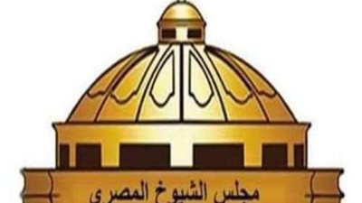 اليوم.. اعلان النتيجة النهائية في جولة إعادة انتخابات مجلس الشيوخ