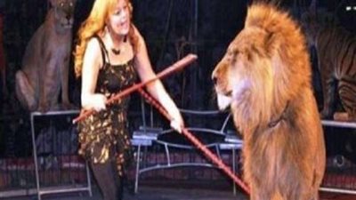 بعد إجرائها جراحة خطرة.. ابنة فاتن الحلو تطالب بالدعاء لوالدتها