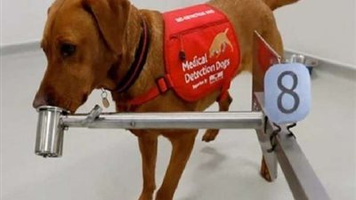 دولة عربية تعلن عن أول إصابة بفيروس كورونا لـ