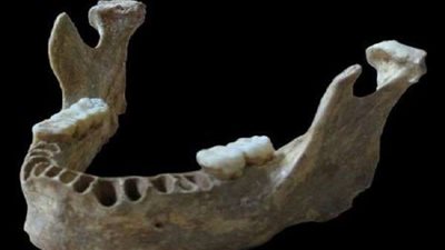 العثور على سن لإنسان يقدر عمره بـ48 ألف عام