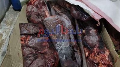 التموين.. ينقذ المواطنين من 40 طن كبدة فاسدة قبل بيعها.. فيديو