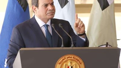 نواب الشيوخ يعلنون دعمهم للرئيس السيسي