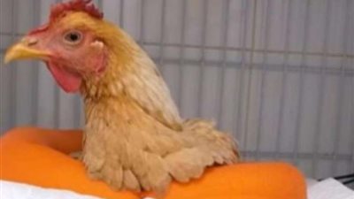 غلق عيادة طبيب 