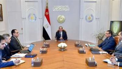 الرئيس السيسي يوجه بتكامل توطين صناعة مراكب الصيد الحديثة