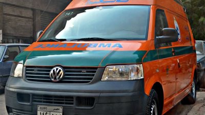 تفاصيل مصرع طالبين بكلية طب أسنان إثر حادث مروري بالإسكندرية