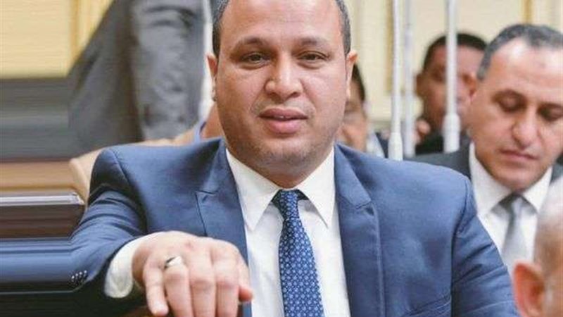 محمد طلبة عضو مجلس