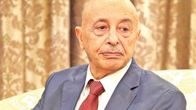 عقيلة صالح يلتقي بقائد الجيش الليبي لدعم الحلول السياسية في ليبيا