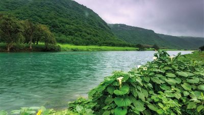 صحراء السعودية أصبحت جنة.. هل يوم القيامة قريباً؟