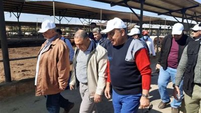 جولة ميدانية لوزير قطاع الأعمال العام بتوشكى