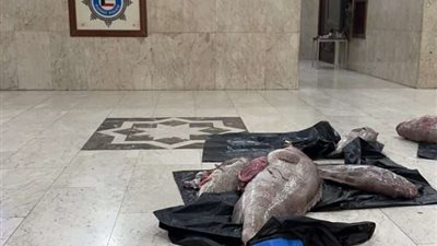 الداخلية الكويتية تكرم مصريًا لإبلاغه عن اشتباه وجود مواد مخدرة داخل أحشاء الأسماك