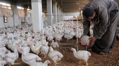 أحمد موسى: البانيه وصل 210 وطبق الفول على العربية بـ 20 جنيه.. إيه الحكاية؟