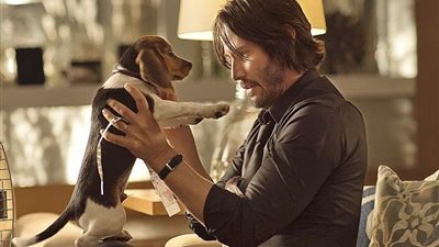 بعد تصريحات الصحة العالمية.. أعراض وأسباب انتقال مرض 