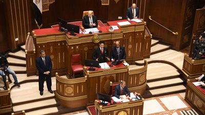 في دراسة يناقشها مجلس الشيوخ.. أحمد أبو هشيمة: فارق كبير بين اقتصاد الجريمة والغير رسمي