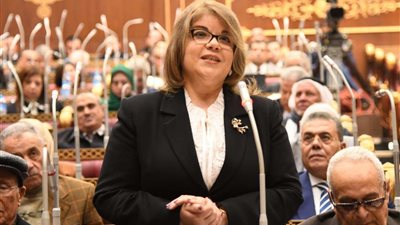 فيبي فوزي بمناقشات دراسة أبو هشيمة: خطوة مهمة لتعزيز الاستثمار الخاص