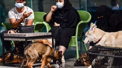 افتتاح أول مقهى لعشاق الكلاب بالسعودية