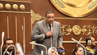 نائب التنسيقية: سد الفجوة بين الخريجين الشباب وسوق العمل هو التحدي الأكبر