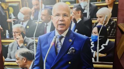 خاص.. برلمانى يكشف تفاصيل مقترح صرف كتاكيت لبطاقات التموين وقطع أراضى للشباب