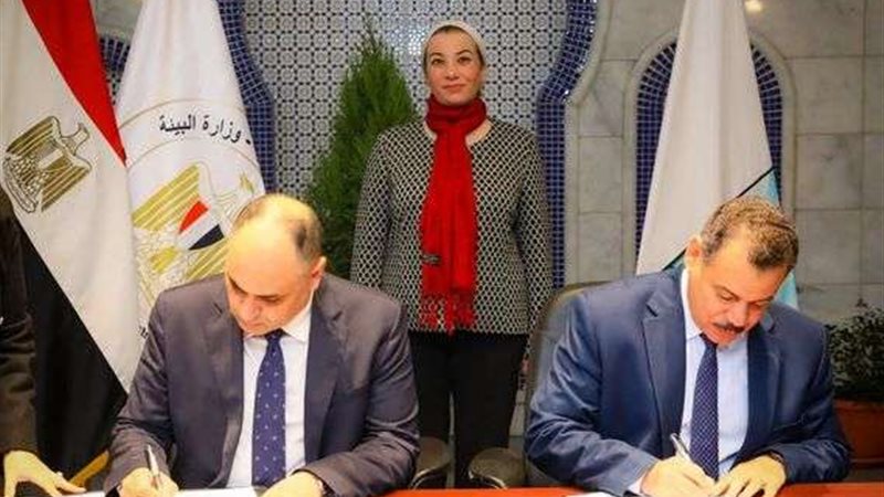 ياسمين فؤاد وزيرة