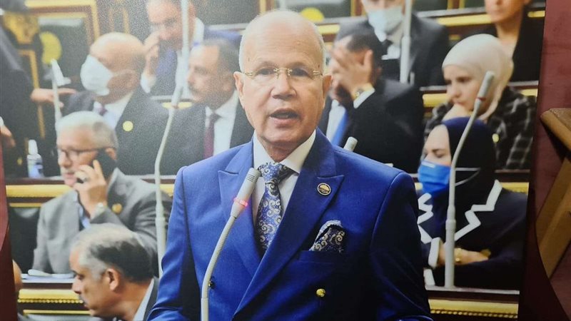 النائب السيد شمس
