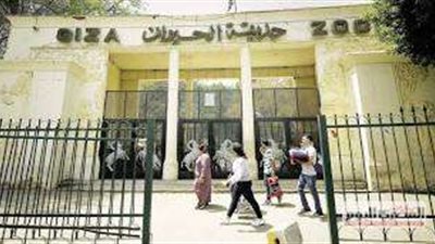 الحكومة تكشف حقيقة ما تردد حول تجريف أشجار حديقة الحيوان