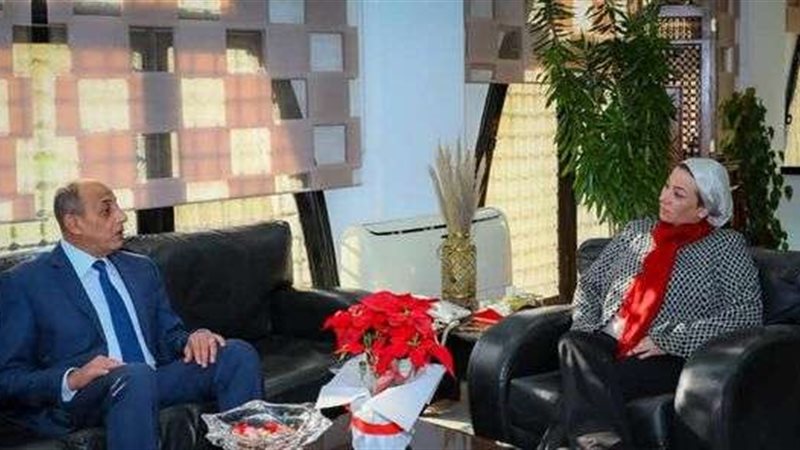 ياسمين فؤاد وزيرة