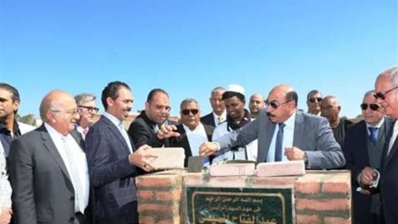 محافظ أسوان