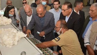 قطاع الأعمال: بيع 136 ألف قنطار قطن في7 محافظات