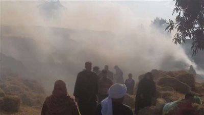 السيطرة على حريق بأرض زراعية ببولاق الدكرور